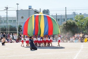 PA088834