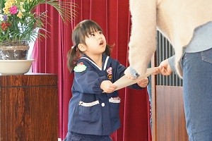 DSC04182