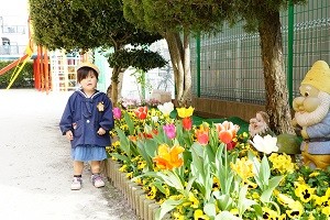 DSC02545