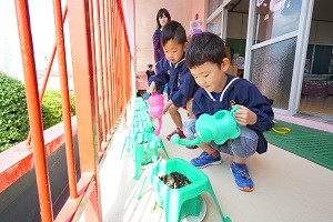 DSC03019