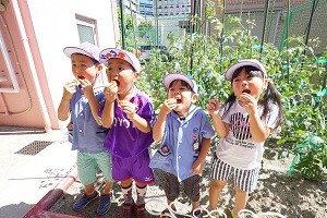DSC04004
