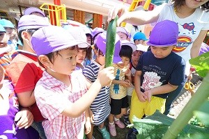 DSC04168