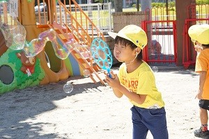 DSC08421