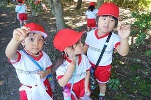dsc09681