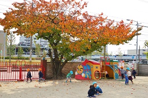 桜の木が紅葉しました 葵第二幼稚園 認定こども園